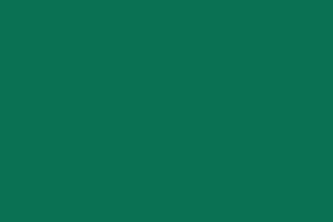 Профнастил С - 8 - Цвета - RAL 6029 зеленая мята