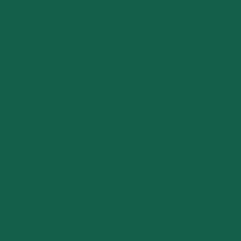Профнастил С - 8 - Цвета - RAL 6005 зеленый мох