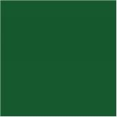 Профнастил НС - 35 - Цвета - RAL 6002 зеленая листва