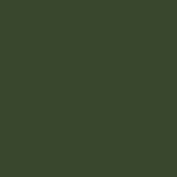 Профнастил НС - 35 - Цвета - RR 11 зеленая хвоя