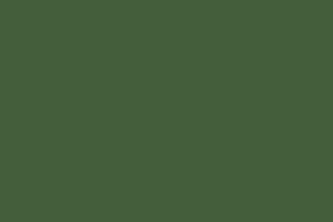 Профнастил НС - 35 - Цвета - RAL 6020 хромовая зелень